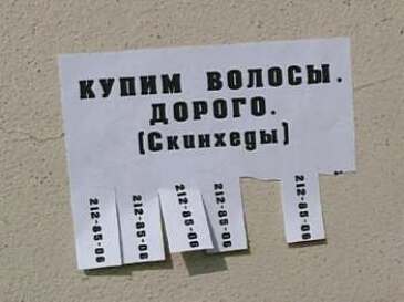 Нтв плюс спорт онлайн трансляция, внедорожники новинки